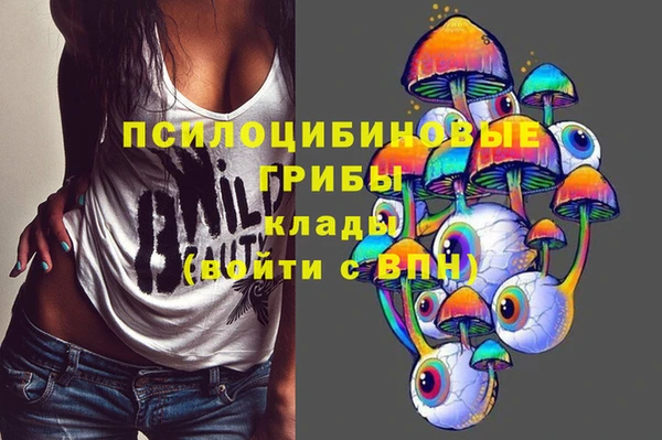 PSILOCYBIN Беломорск