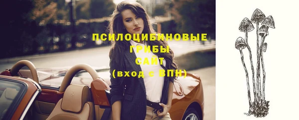 винт Пересвет