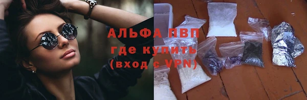 винт Пересвет