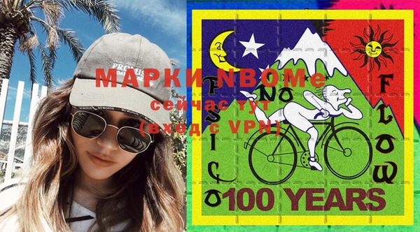 винт Пересвет