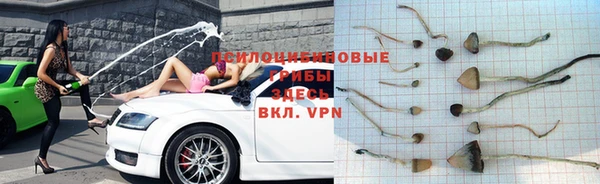 винт Пересвет