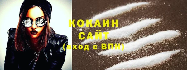 винт Пересвет