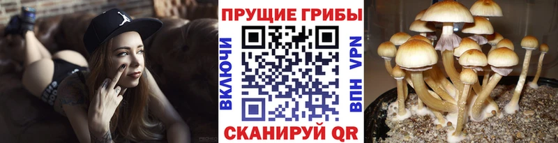 Псилоцибиновые грибы ЛСД Братск