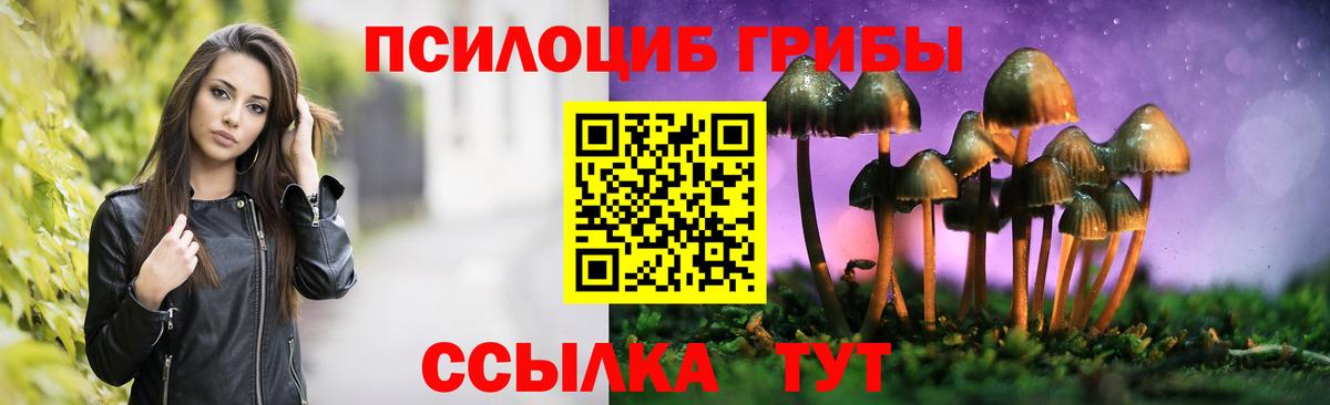 Братск  Псилоцибиновые грибы прущие грибы  наркошоп  Вход с VPN 